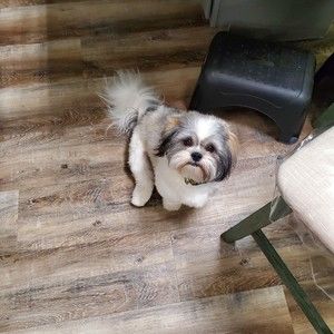 Meet your Posher, Karyn